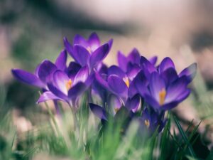 Mehr über den Artikel erfahren Konfiguration für deine Spring Applikation