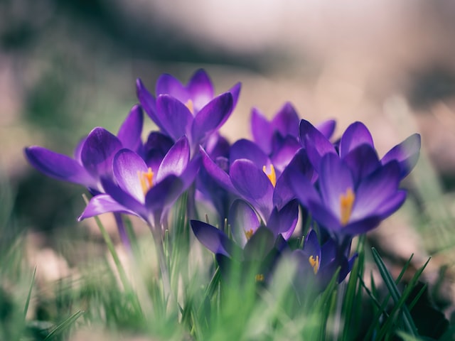 Mehr über den Artikel erfahren Konfiguration für deine Spring Applikation